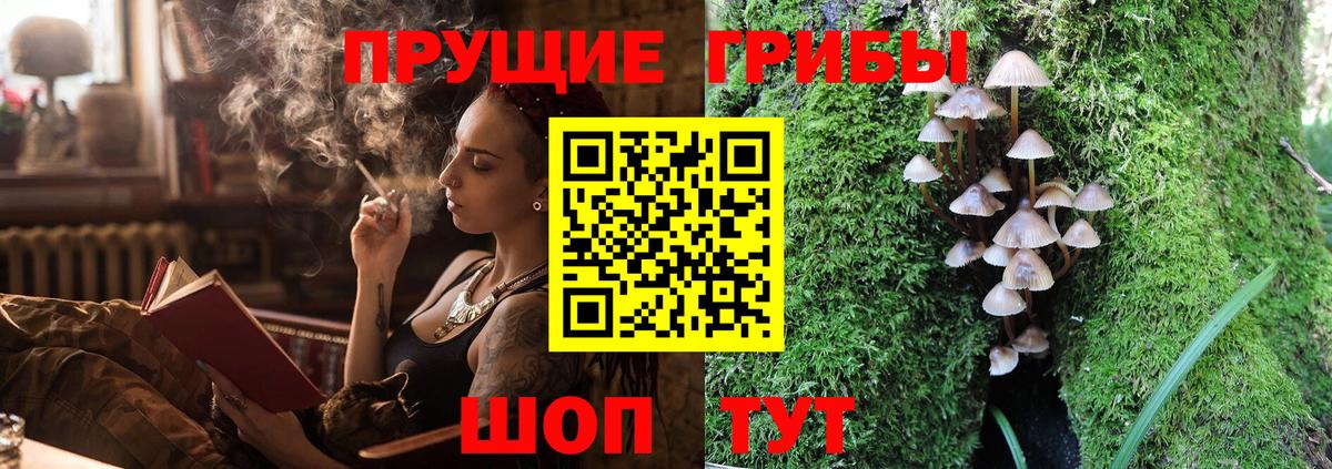 Галлюциногенные грибы Psilocybine cubensis Тавда