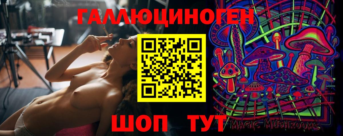 Тавда  Псилоцибиновые грибы Psilocybe  Вход с VPN 